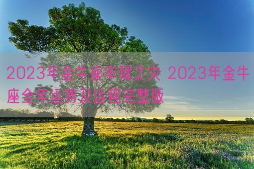 2023年金牛座牢狱之灾 2023年金牛座全年运势及运程完整版(图1)