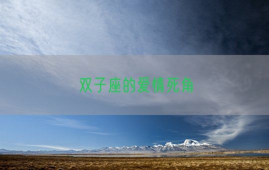 双子座的爱情死角(图1)