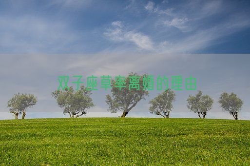 双子座草率离婚的理由(图1)