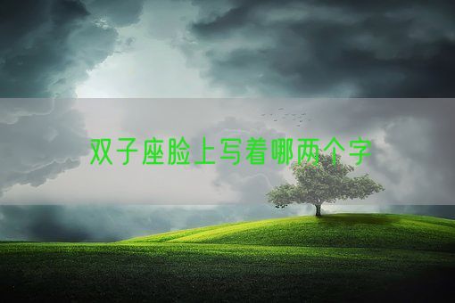 双子座脸上写着哪两个字(图1)