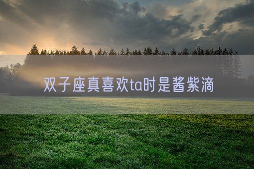 双子座真喜欢ta时是酱紫滴(图1)