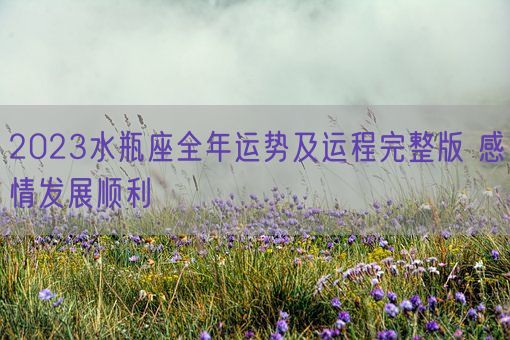 2023水瓶座全年运势及运程完整版 感情发展顺利(图1)