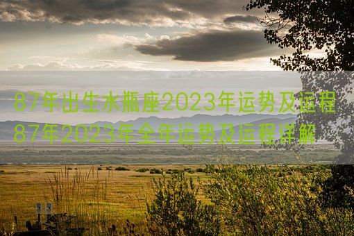 87年出生水瓶座2023年运势及运程 87年2023年全年运势及运程详解(图1)