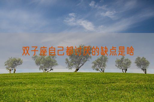 双子座自己都讨厌的缺点是啥(图1)
