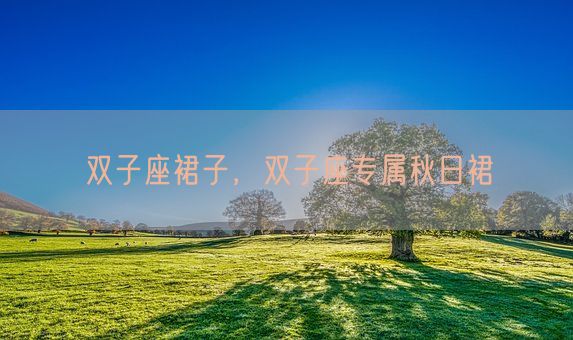 双子座裙子，双子座专属秋日裙(图1)