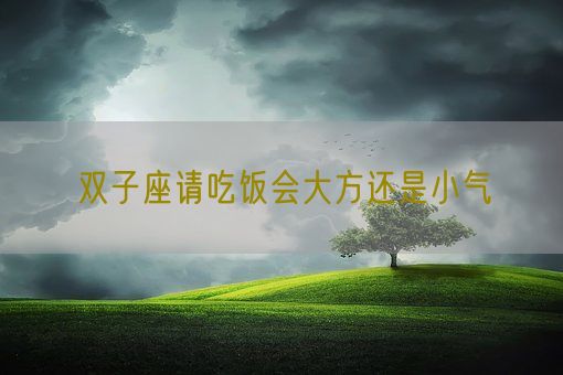 双子座请吃饭会大方还是小气(图1)