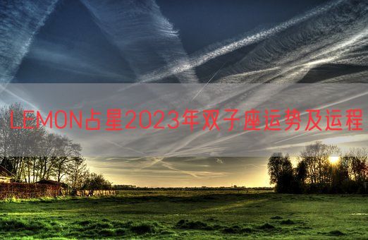 LEMON占星2023年双子座运势及运程(图1)