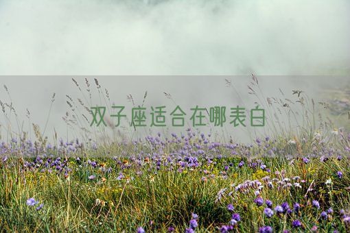 双子座适合在哪表白(图1)