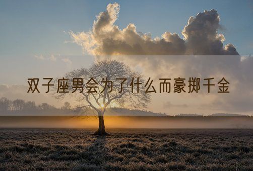 双子座男会为了什么而豪掷千金(图1)