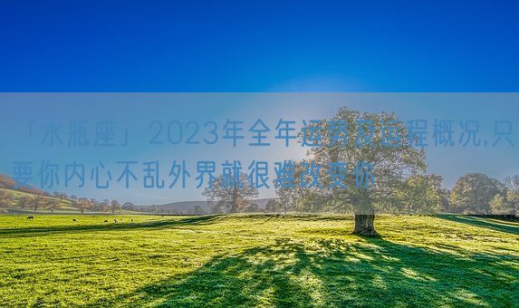「水瓶座」2023年全年运势及运程概况,只要你内心不乱外界就很难改变你(图1)
