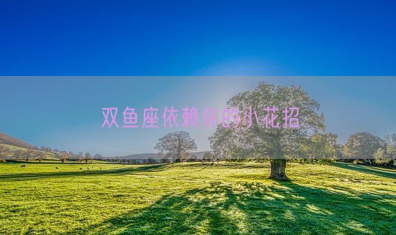 双鱼座依赖你的小花招(图1)