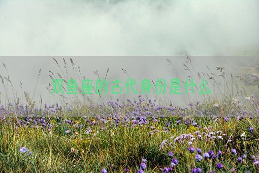 双鱼座的古代身份是什么(图1)