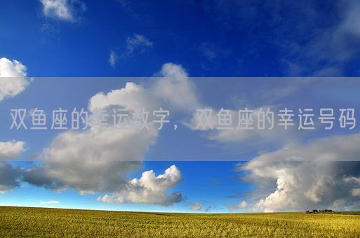 双鱼座的幸运数字，双鱼座的幸运号码(图1)