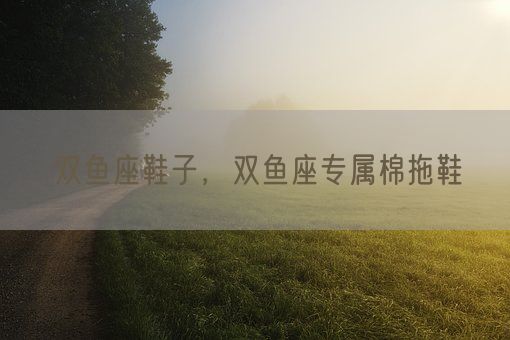 双鱼座鞋子，双鱼座专属棉拖鞋(图1)