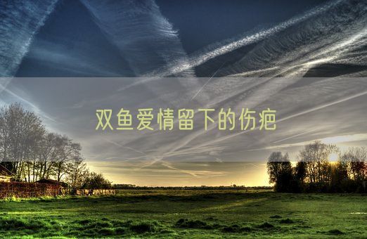 双鱼爱情留下的伤疤(图1)