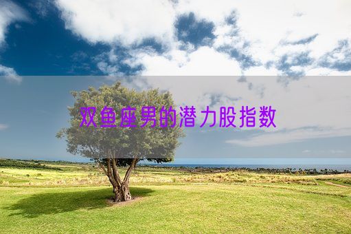 双鱼座男的潜力股指数(图1)