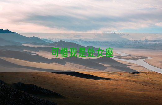 可惜我是处女座(图1)