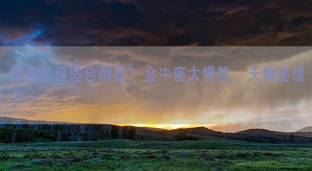 哪些星座适合倒追？金牛座太慢热，天蝎座很专一(图1)