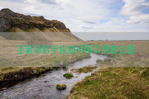 圣诞前射手座如何再次勇敢去爱(图1)