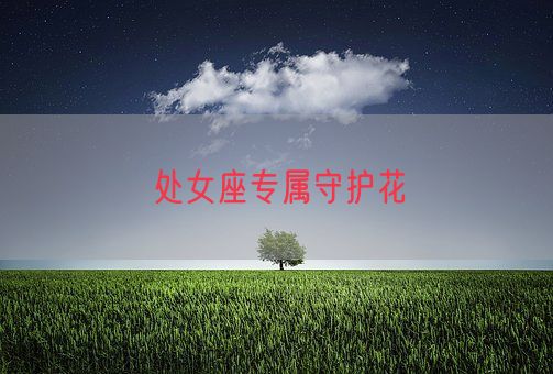 处女座专属守护花(图1)