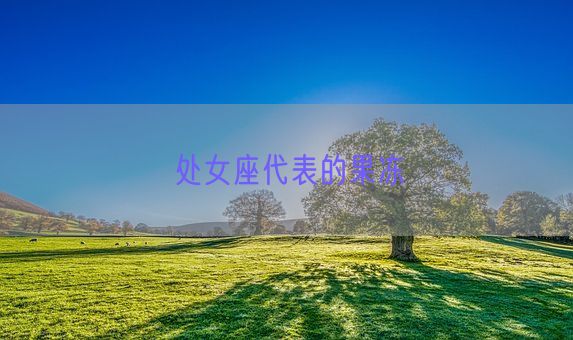 处女座代表的果冻(图1)