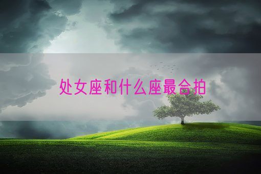 处女座和什么座最合拍(图1)