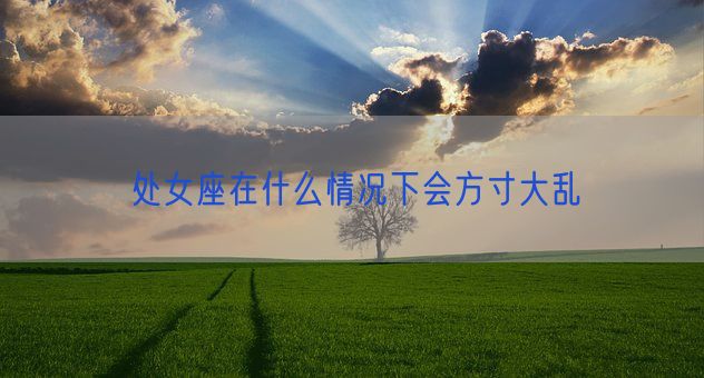 处女座在什么情况下会方寸大乱(图1)