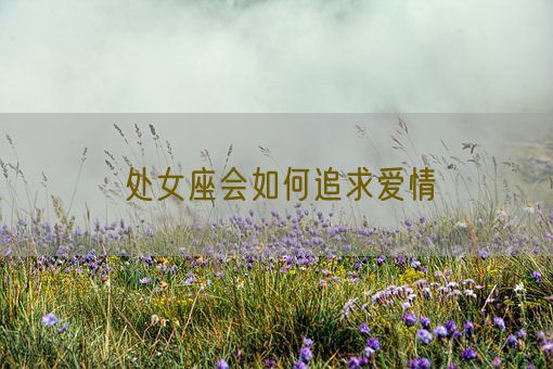 处女座会如何追求爱情(图1)