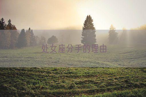处女座分手的理由(图1)