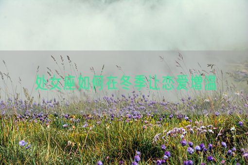 处女座如何在冬季让恋爱增温(图1)