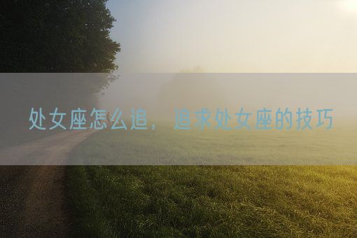 处女座怎么追，追求处女座的技巧(图1)