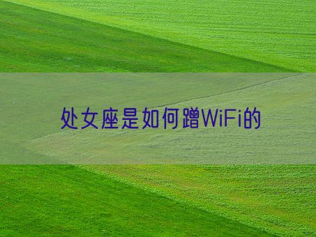 处女座是如何蹭WiFi的(图1)