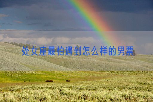 处女座最怕遇到怎么样的男票(图1)