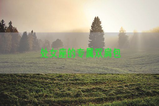 处女座的专属双肩包(图1)