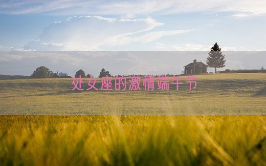 处女座的激情端午节(图1)