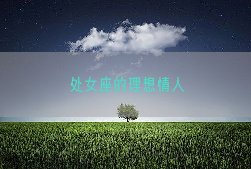 处女座的理想情人(图1)