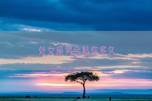 处女座男会粘你多久(图1)
