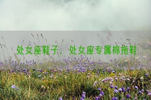 处女座鞋子，处女座专属棉拖鞋(图1)