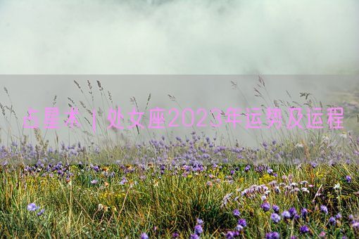 占星术｜处女座2023年运势及运程(图1)