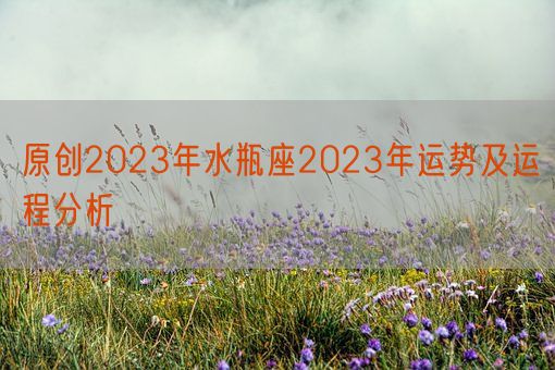 原创2023年水瓶座2023年运势及运程分析(图1)