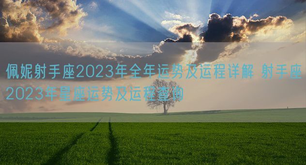 佩妮射手座2023年全年运势及运程详解 射手座2023年星座运势及运程查询(图1)