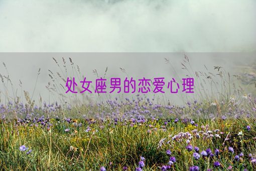 处女座男的恋爱心理(图1)