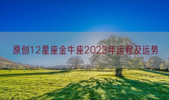 原创12星座金牛座2023年运程及运势(图1)