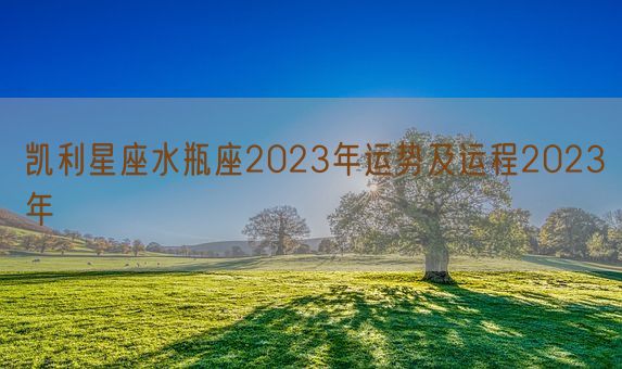 凯利星座水瓶座2023年运势及运程2023年(图1)