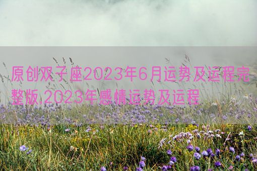 原创双子座2023年6月运势及运程完整版,2023年感情运势及运程(图1)