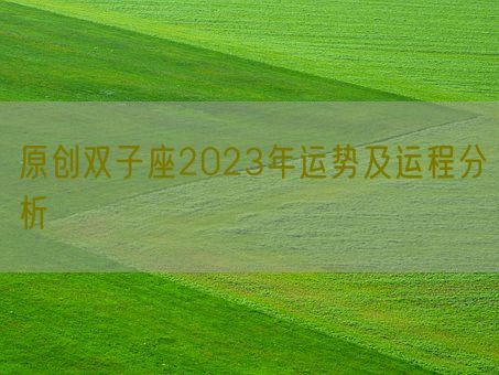 原创双子座2023年运势及运程分析(图1)