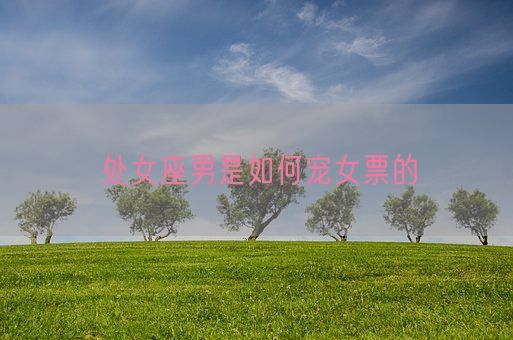 处女座男是如何宠女票的(图1)