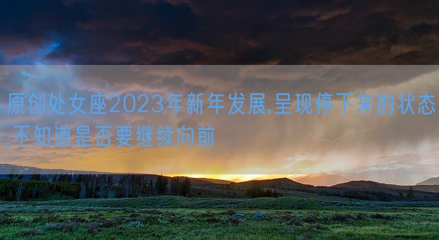 原创处女座2023年新年发展,呈现停下来的状态,不知道是否要继续向前(图1)