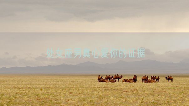 处女座男真心爱你的证据(图1) 处女座男真心爱你的证据(图1)