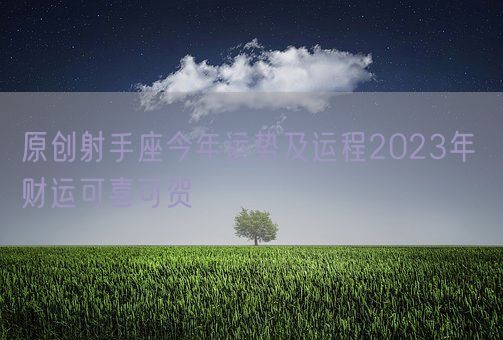 原创射手座今年运势及运程2023年 财运可喜可贺(图1)